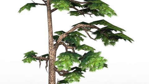 Game Ready Low Poly Tree 15