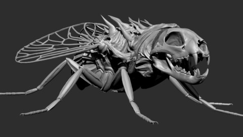 Cat Skull Demon Fly STL