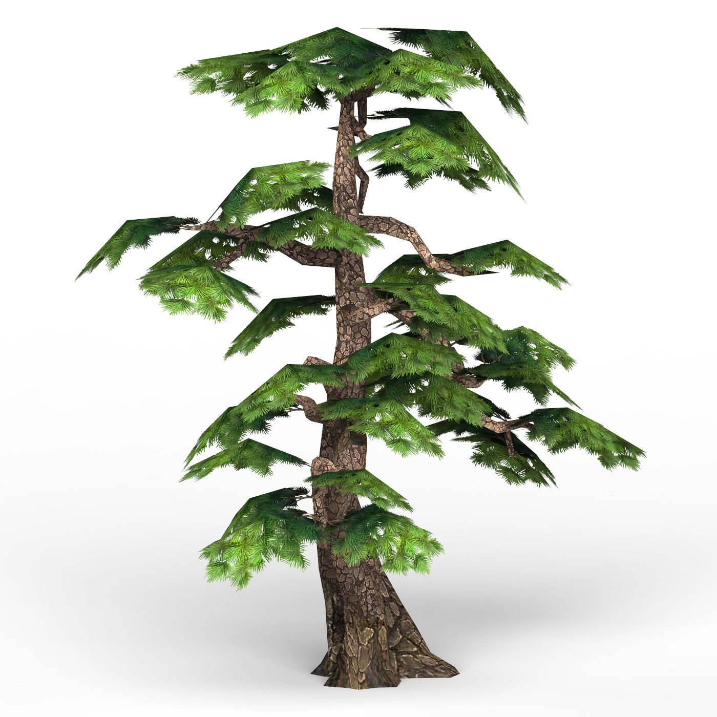 Деревья для фотошопа. Реалистичное дерево. Cutout trees. Три дерева. Лиственные деревья на прозрачном фоне.