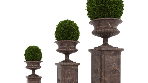 Classic decorative vase