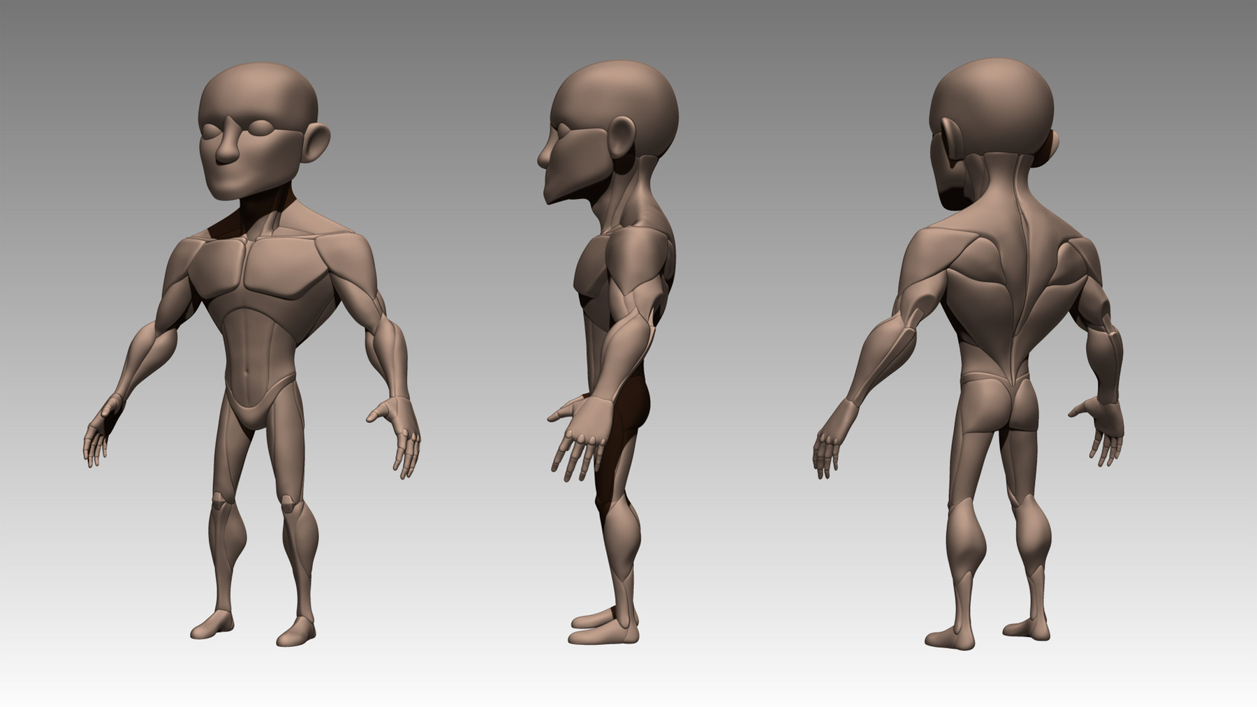 ArtStation - Stylized Male Anatomy Block Out Basemesh | Resources