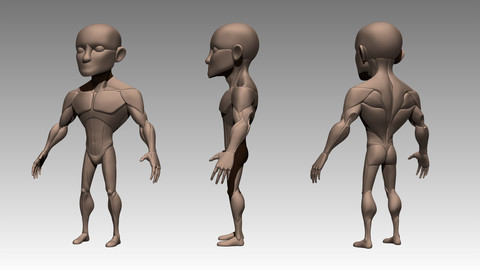 Stylized Male Anatomy Block out Basemesh