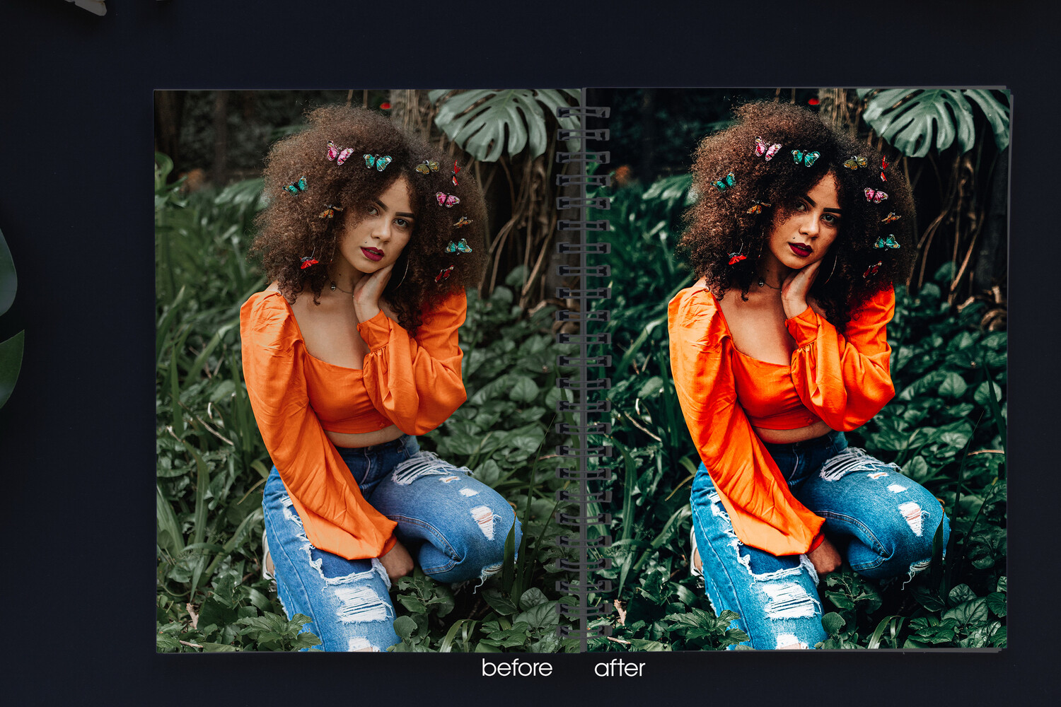 Artstation - Color Pop Lightroom Presets 