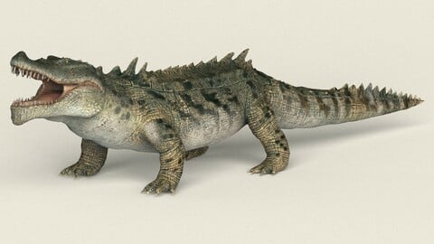 Crocodile Low Poly PBR Ready 3D Model