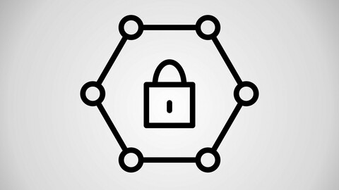 Vector Protected Network Icon