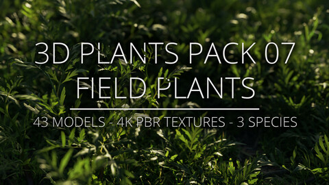 3D Plants Pack 07 - Field Plants