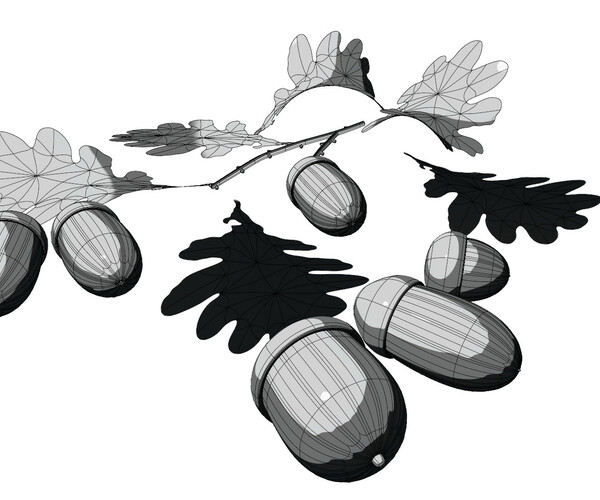 632 Acorns Illustration Two Vector Images, Stock Photos, 3D objects, &  Vectors