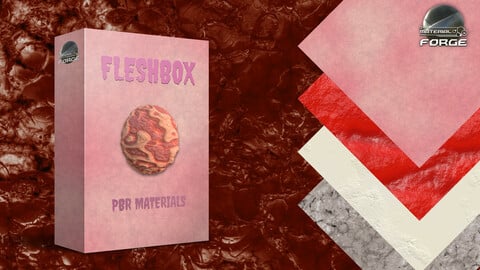 Fleshbox Volume 1 PBR Materials