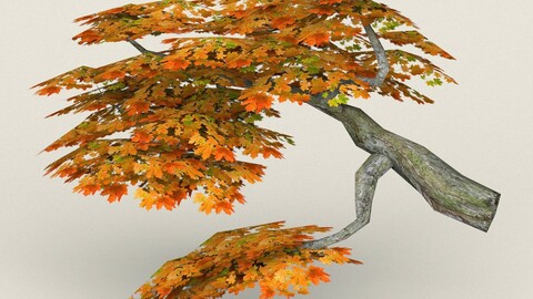 Low Poly Maple Tree 08