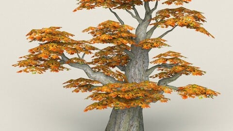 Low Poly Maple Tree 09