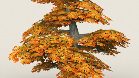 Low Poly Maple Tree 12