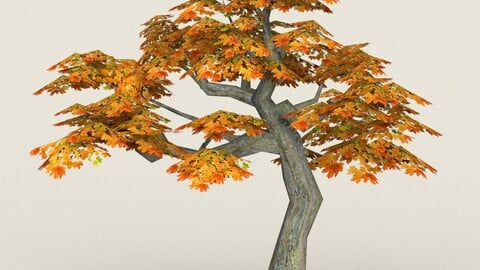 Low Poly Maple Tree 13