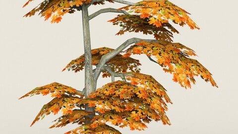 Low Poly Maple Tree 15