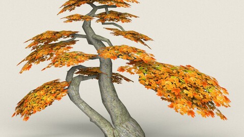 Low Poly Maple Tree 16