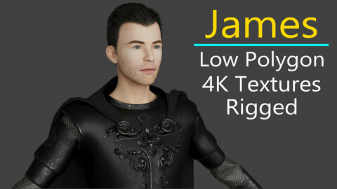 James - Realistic Ranger - Warrior ( Rigged / Low Polygon / 4K Textures)