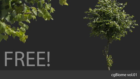 cgBiome vol.01 - Summer Trees samples