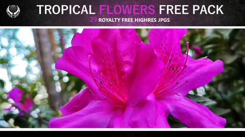 TROPICAL FLOWERS FREE PACK