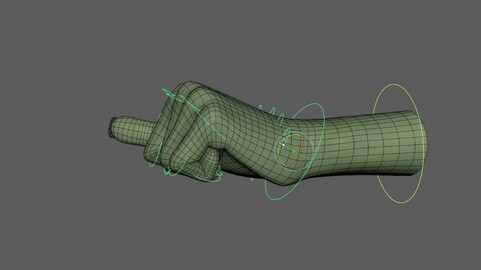 hand_RIG