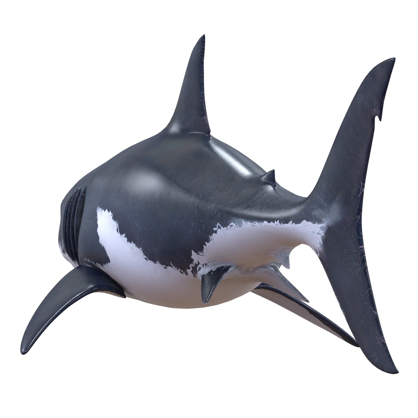 ArtStation White Shark Game Assets