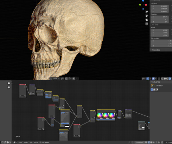 ArtStation - Skull | Game Assets