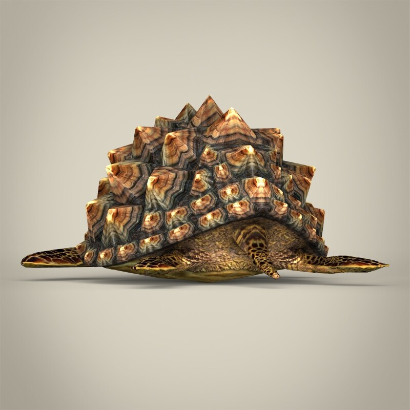 ArtStation - Game Ready Mountain Tortoise | Game Assets