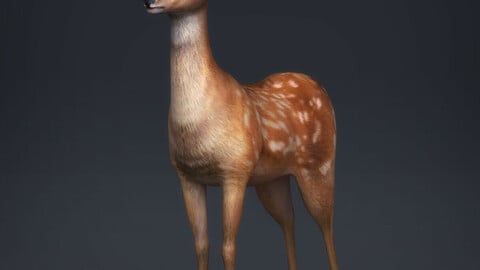 Realistic Deer