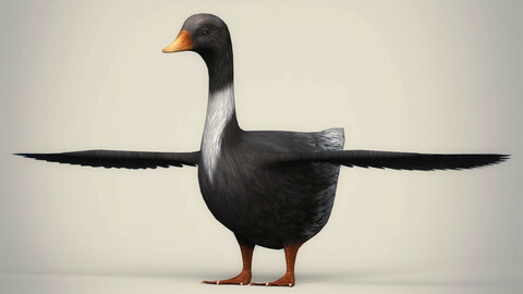 Low Poly Realistic Duck