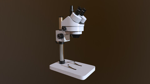 Stereo Microscope