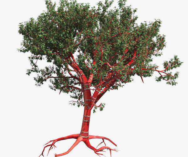 Artstation Tibetan Cherry Tree Game Assets