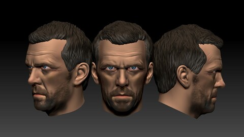 House MD -Hugh Laurie