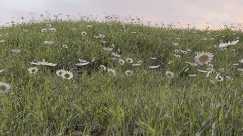 Grass Assets for you