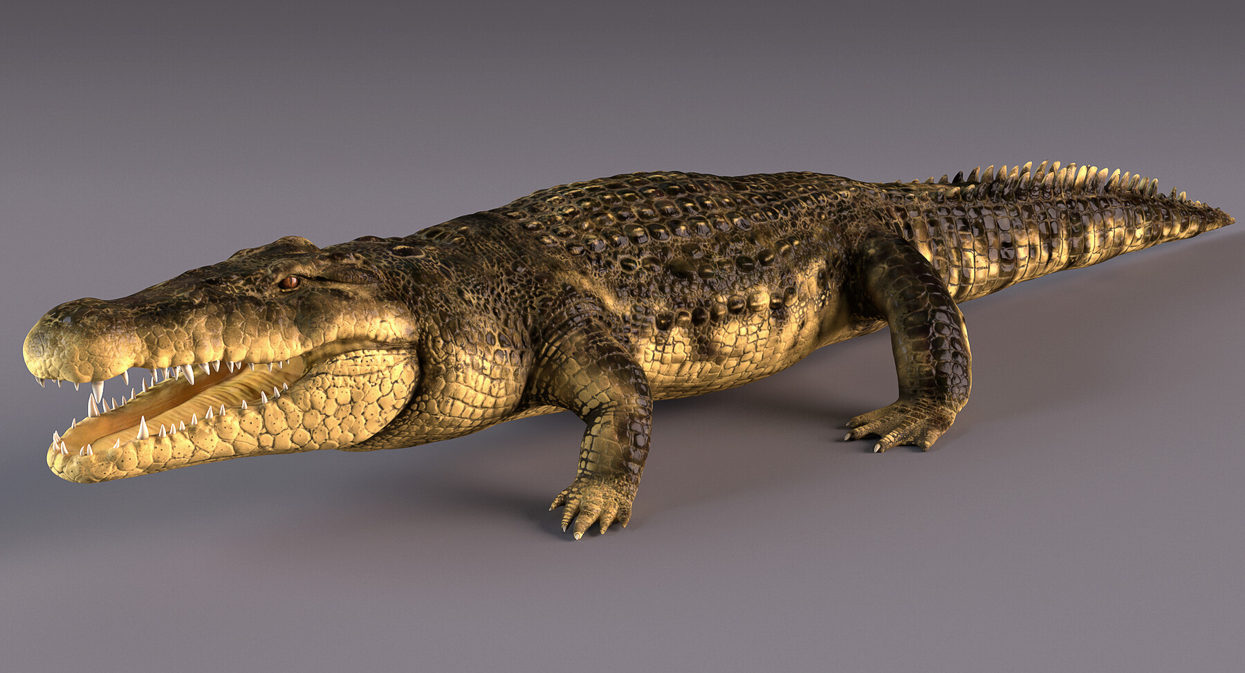 ArtStation - Crocodile | Resources