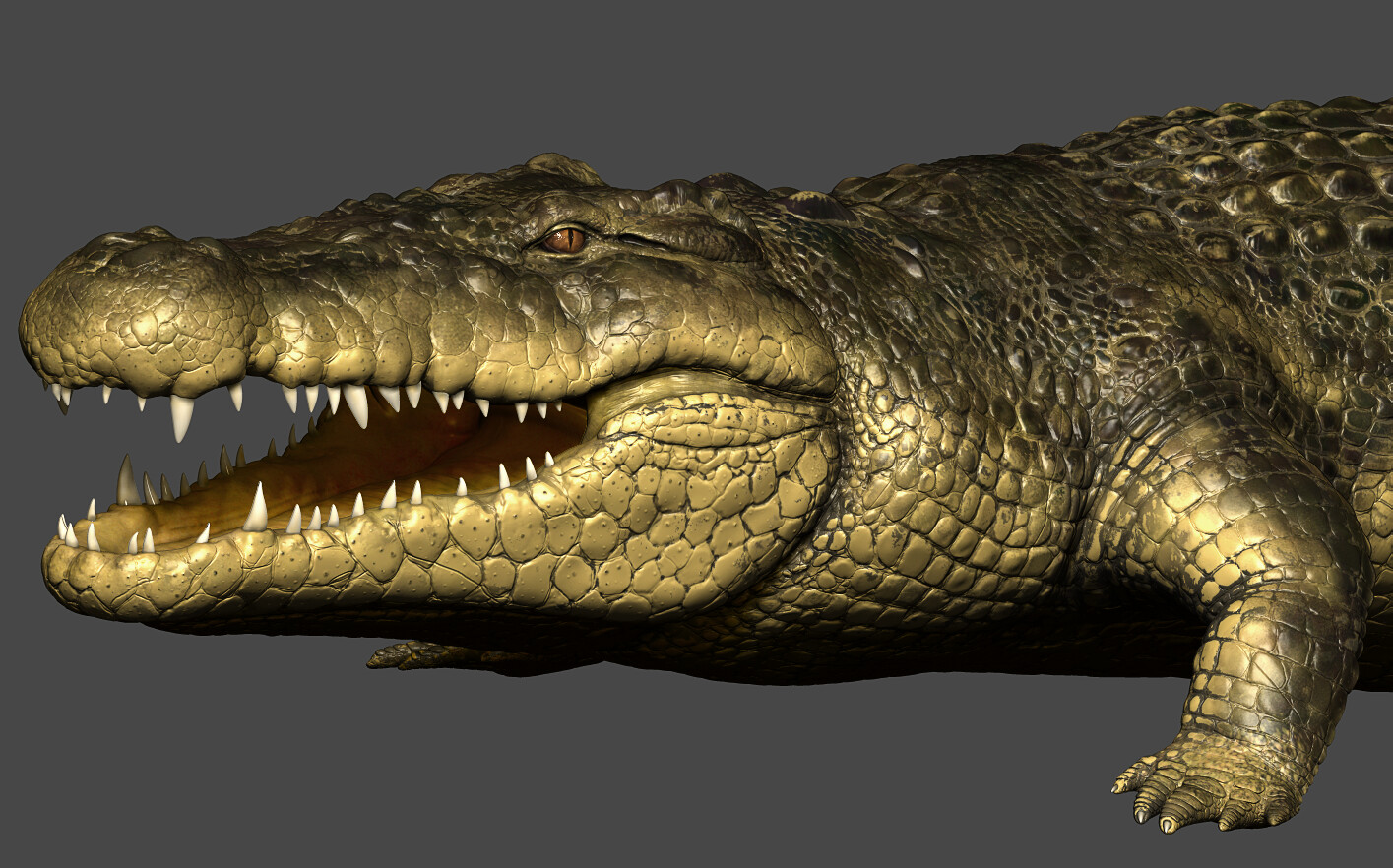 ArtStation - Crocodile | Resources