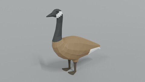 Low Poly Cartoon Canada Goose