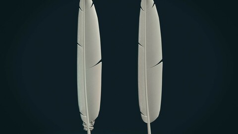 Printable Feather