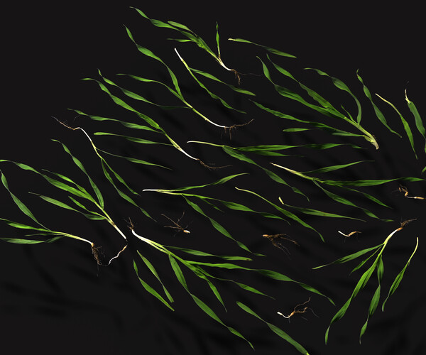product thumbnail 42