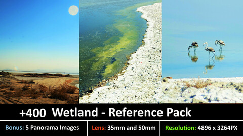 Wetland- Reference Pack