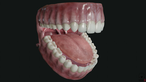 Teeth Game asset (RealTime)
