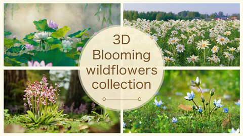 3d Blooming wildflowers collection Vol01