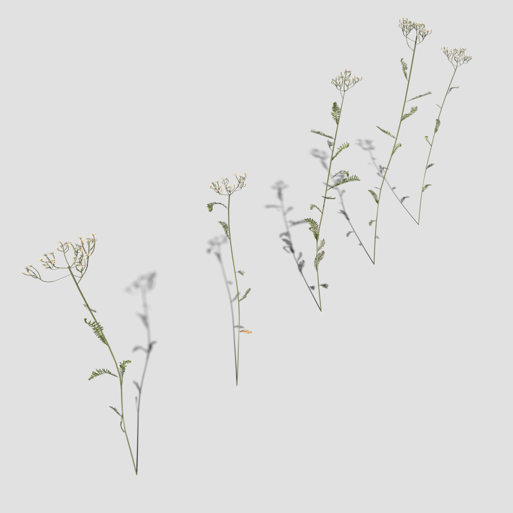 ArtStation - Wild Flower Plant Pack | Resources