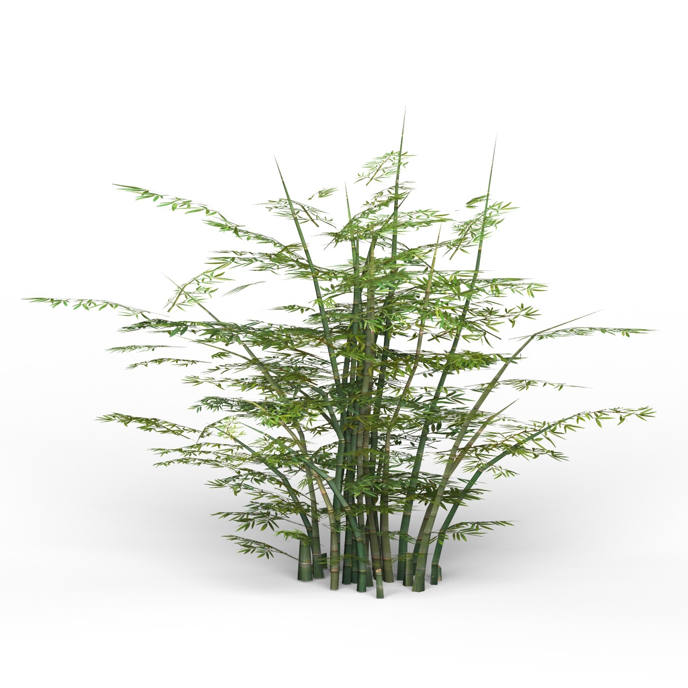 ArtStation - Bamboo Tree 02 | Resources