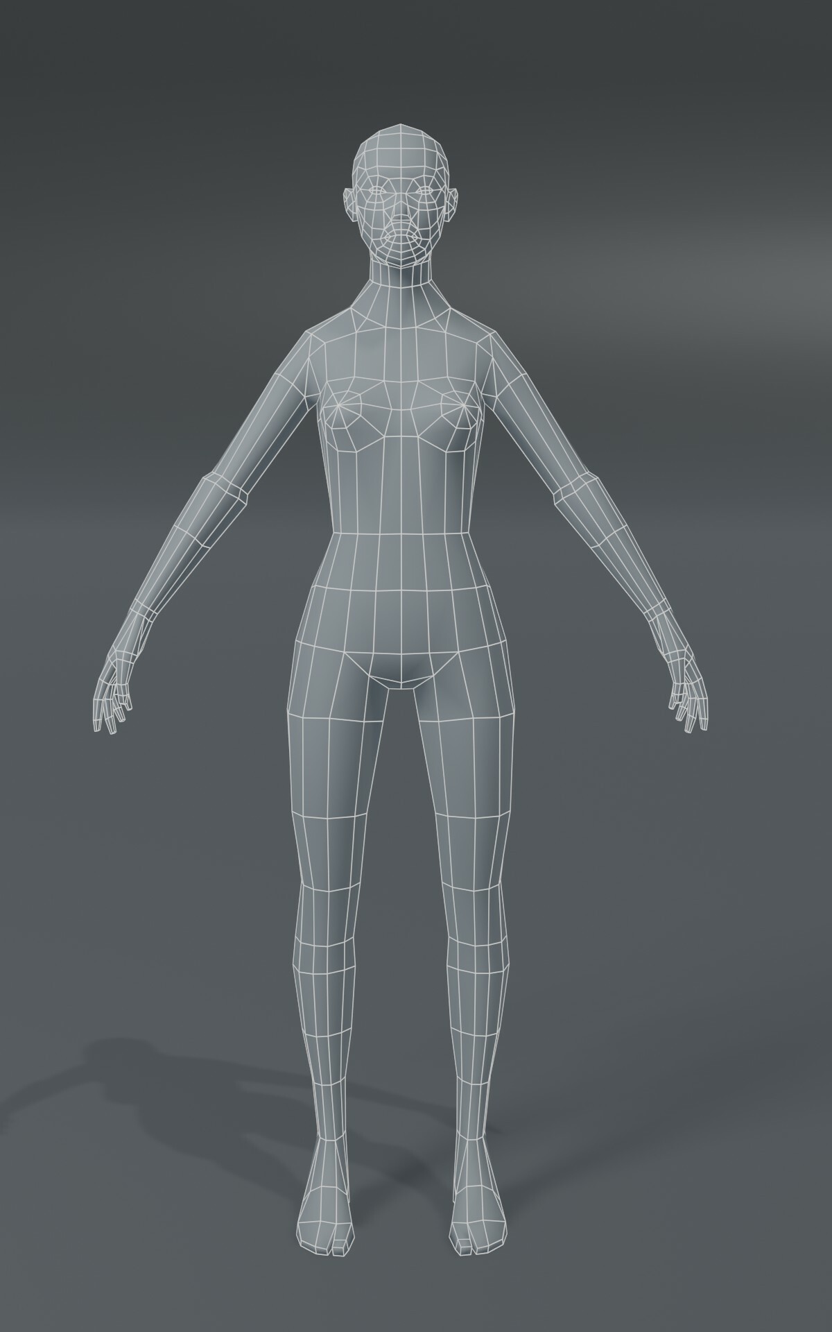 ArtStation Female Body Base Mesh 3D Model 1000 Polygons