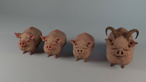 Small Pigs and Devil Pig Model