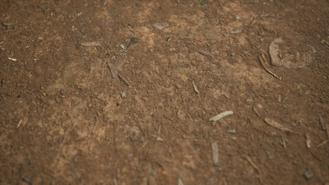 Tilia Dirt Texture 8K Photoscanned 2mx2m