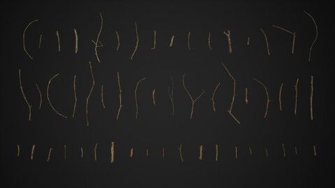 Small Oak And Tilia Twigs 4K Scanned