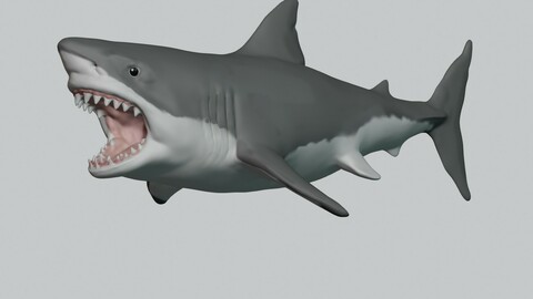 The Great White Shark 3D Print