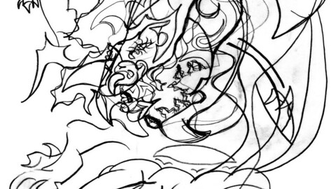 Spider transformation