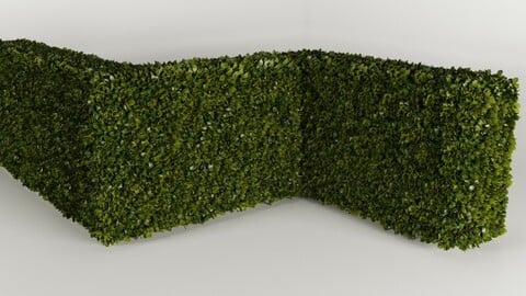 Set for Hedge of bushes 3D model Setos arbusto 3D model