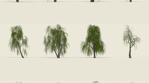 Willow Tree Collection