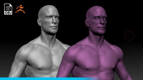 Male  character basemesh with UV map